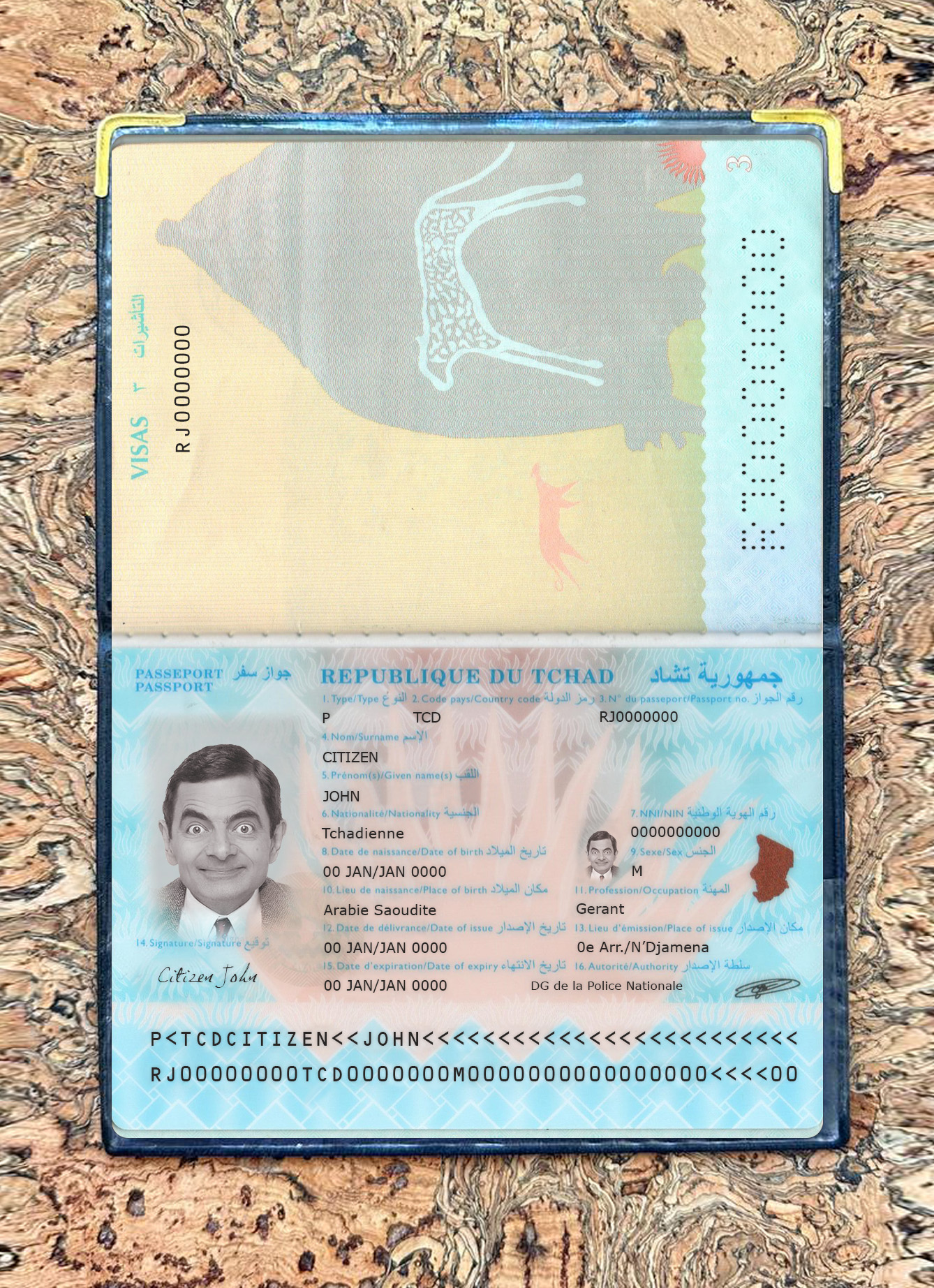 Du Tchad passport new 2021 present photolook PSD template